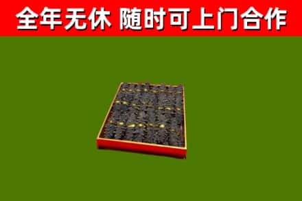 吐鲁番回收海参